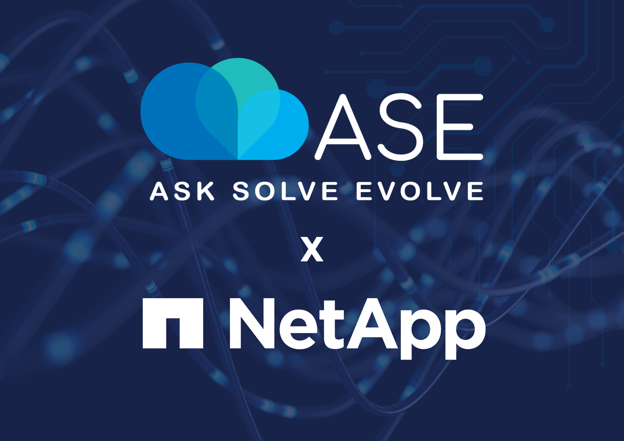 ASE Flyer - Double your Data with ASE and NetApp